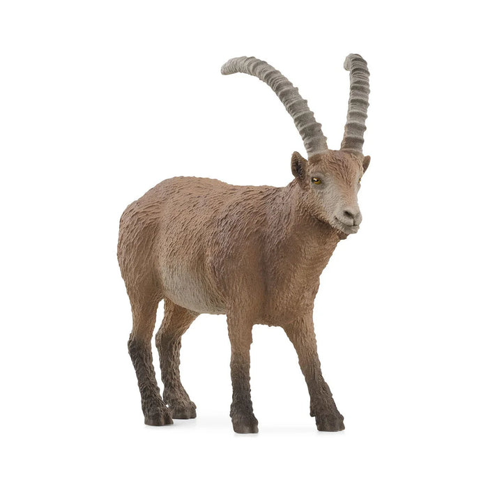 Schleich | Wild Life | Ibex