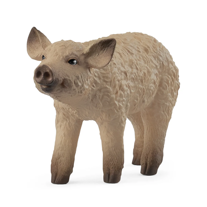 Schleich | Farm World | Mangalica Piglet