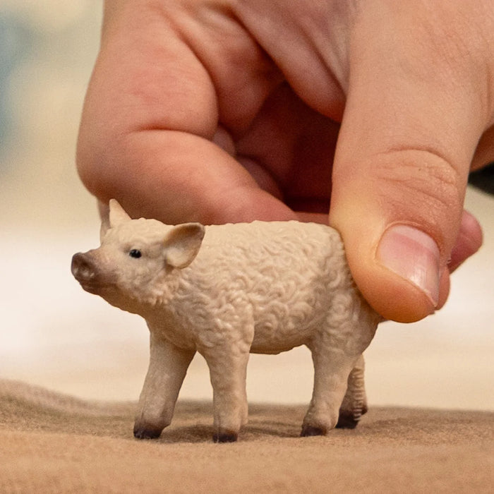 Schleich | Farm World | Mangalica Piglet