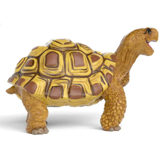 Schleich | Henrietta the Turtle
