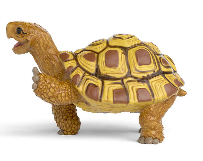 Schleich | Henrietta the Turtle