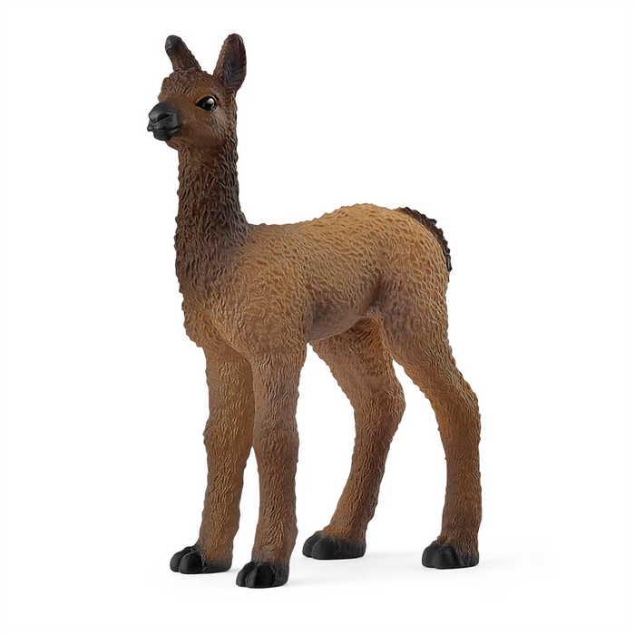 Schleich | Farm World | Llama Foal