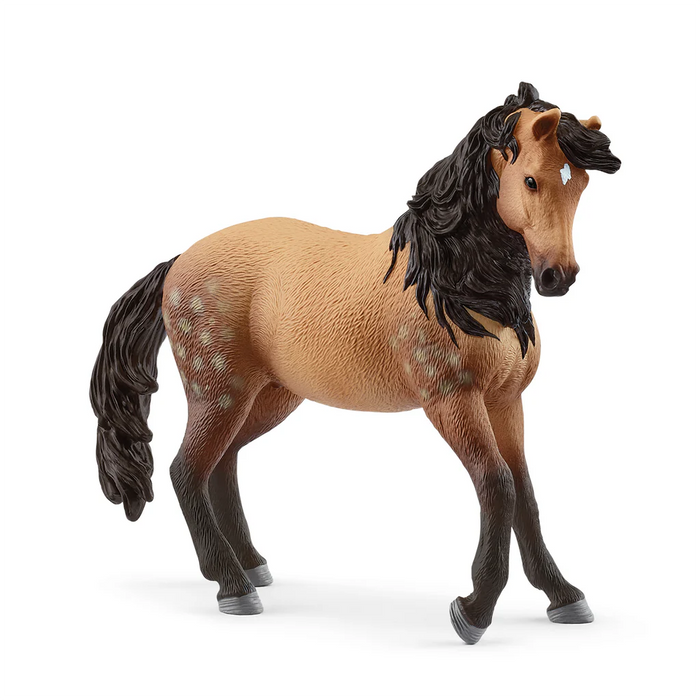 Schleich | Horse Club | Andalusian Mare 2025