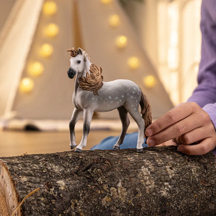 Schleich | Horse Club | Andalusian Stallion 2025