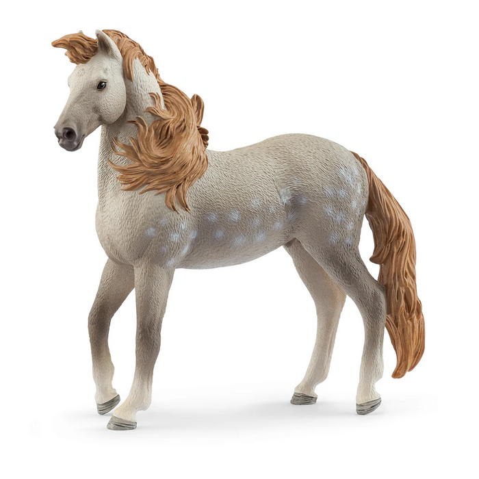 Schleich | Horse Club | Andalusian Stallion 2025