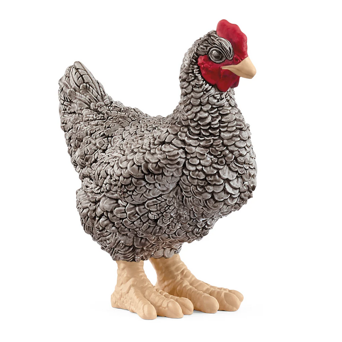 Schleich | Plymouth Rock Chicken