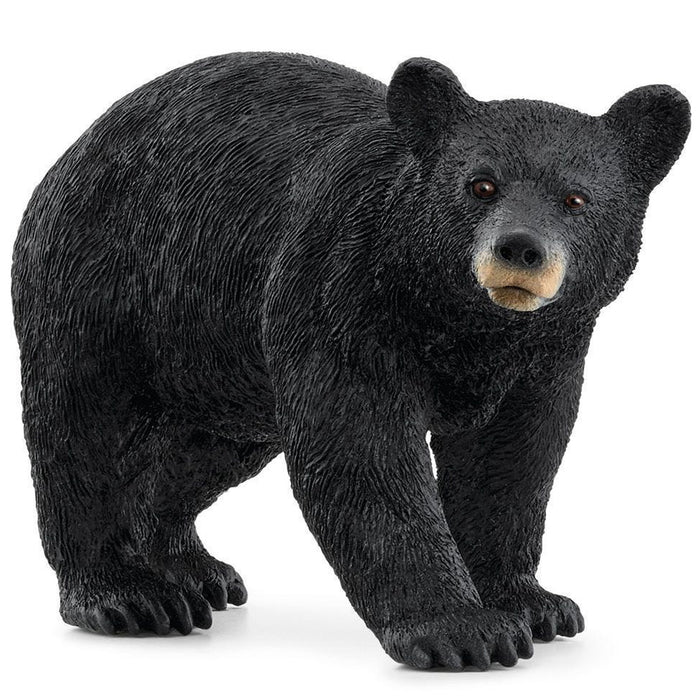 Schleich | Wild Life | American Black Bear