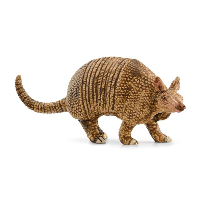 Schleich | Wild Life | Armadillo
