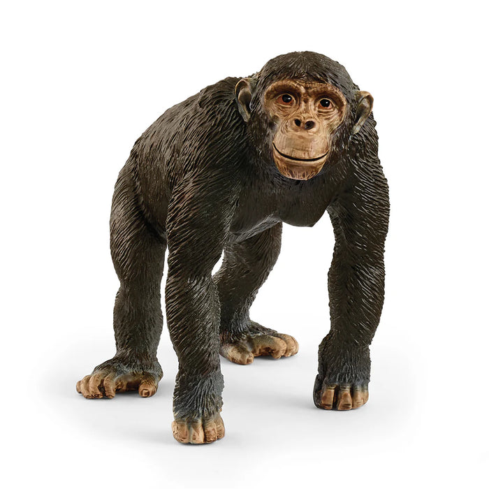 Schleich | Wild Life | Chimpanzee