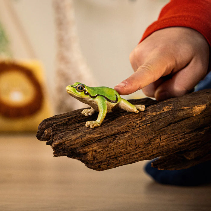 Schleich | Wild Life | European Tree Frog