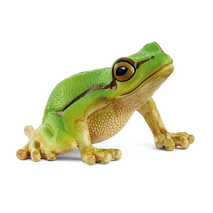 Schleich | Wild Life | European Tree Frog
