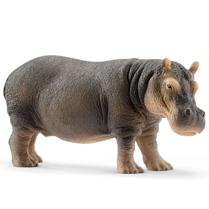 Schleich | Wild Life | Hippopotamus