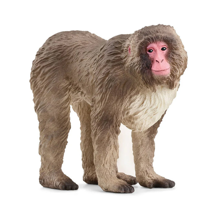 Schleich | Wild Life | Japanese Macaque