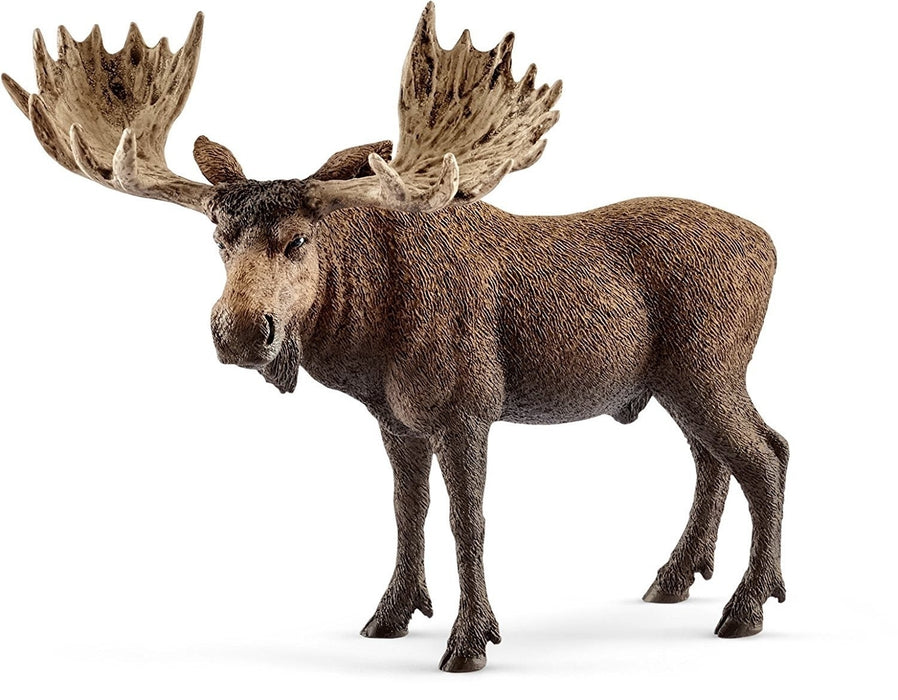 Schleich | Wild Life | Moose Bull
