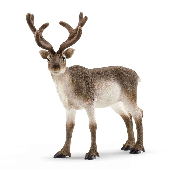 Schleich | Wild Life | Reindeer