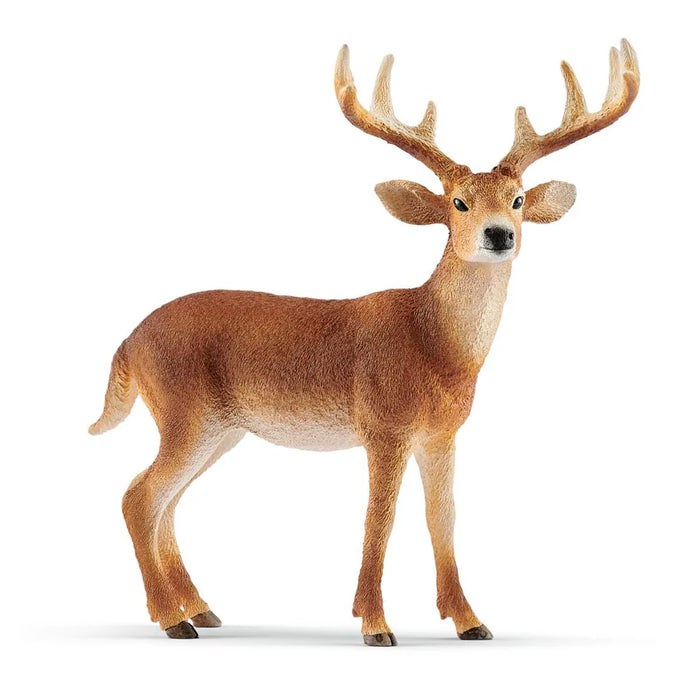 Schleich | Wild Life | White-tailed buck