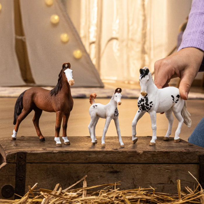 Schleich | Horse Club | Marwari Mare