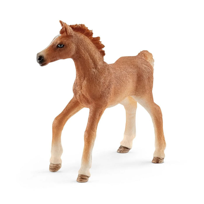 Schleich | Horse Club | Foal with Blanket