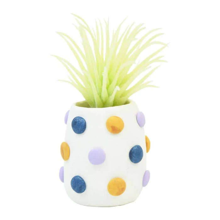 Sculpey III | Succulent Pots Kit