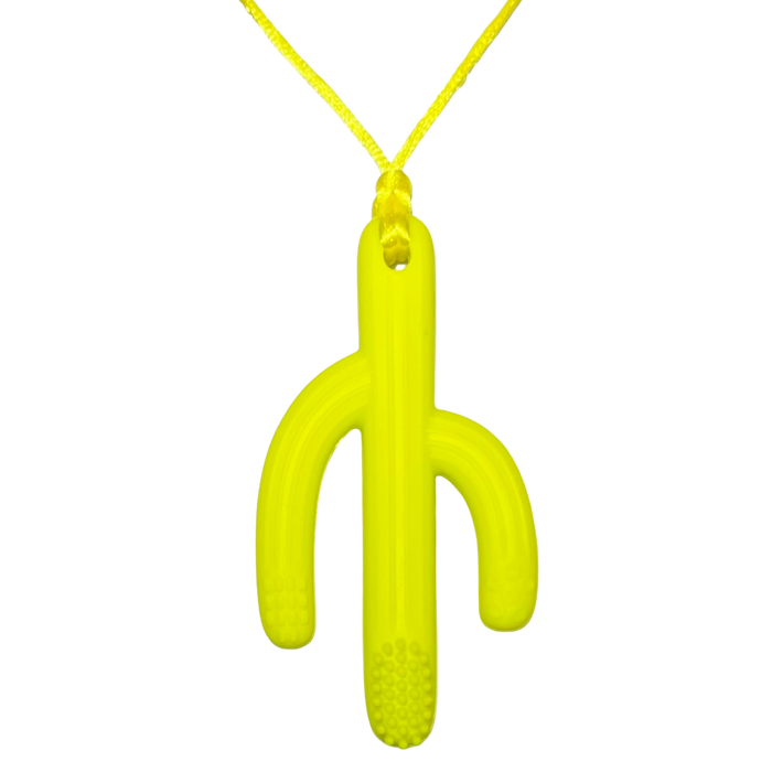 Sensory Chew Necklace | Cactus Toothbrush