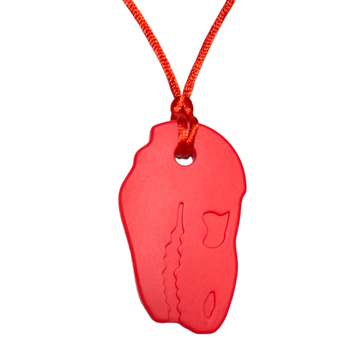Sensory Chew Necklace | Dinosaur T-Rex