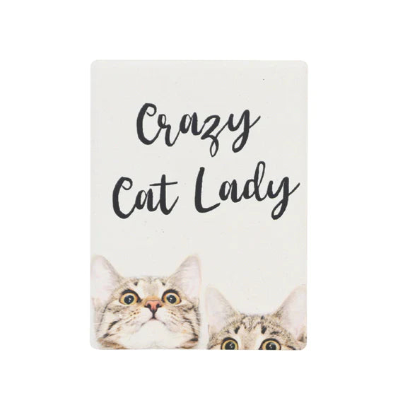 Splosh Pet Magnet | Crazy Lady