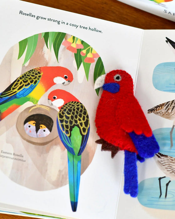 Tara Treasures | Book & Felt - Busy Beaks