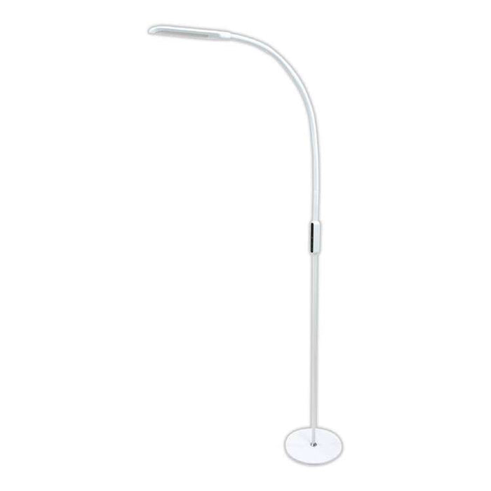 Triumph | LED Floor Lamp with Remote Control