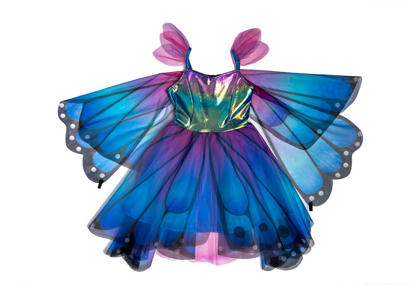 Twirl Dress & Wings Size 5-6