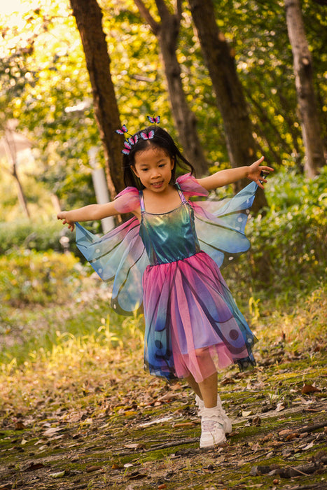 Twirl Dress & Wings Size 5-6