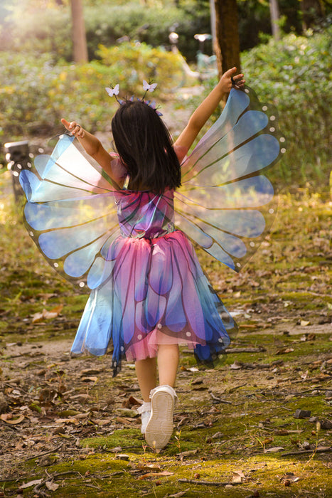 Twirl Dress & Wings Size 5-6