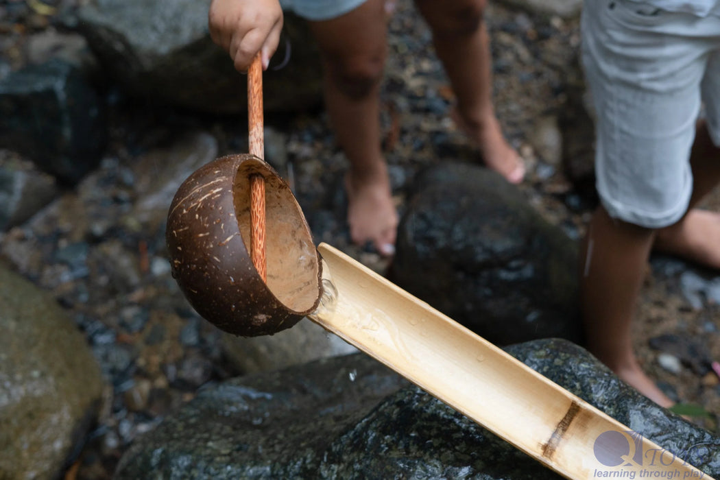 Wooden Coconut Water Scoop