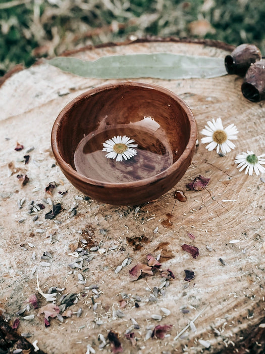 Wooden Treasure Bowl