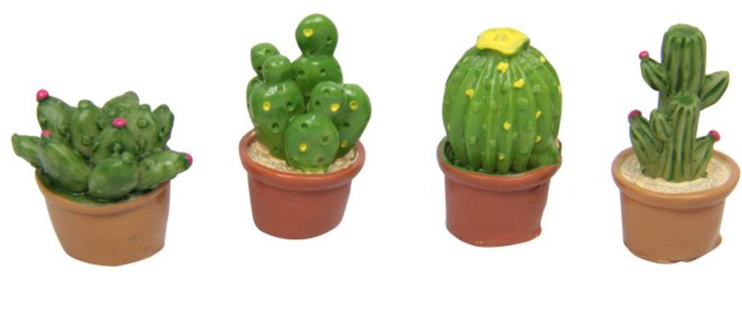 Miniature Cactus