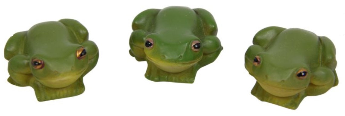 Miniature Frog