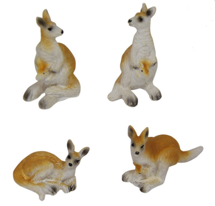 Miniature Kangaroo