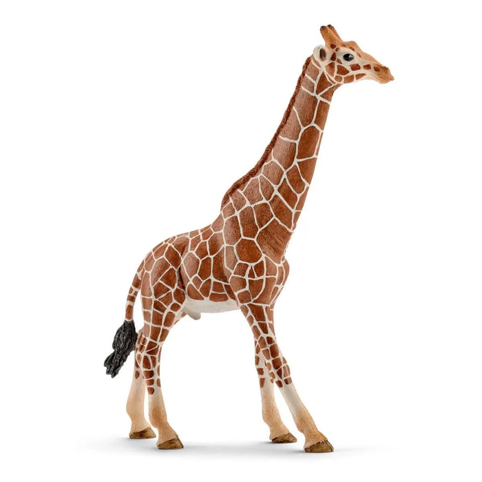 Schleich | Wild Life | Giraffe Male
