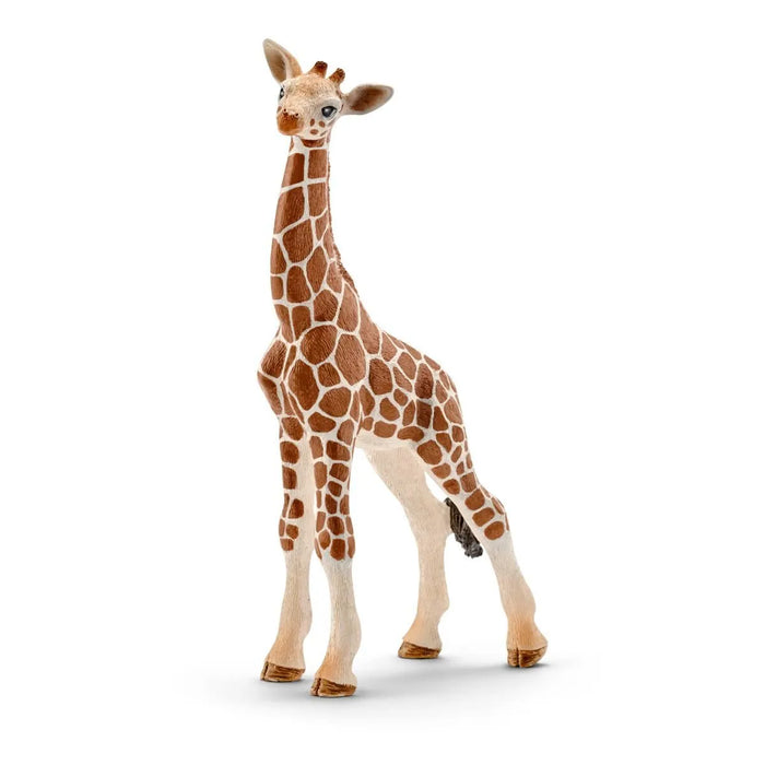 Schleich | Wild Life | Giraffe Calf