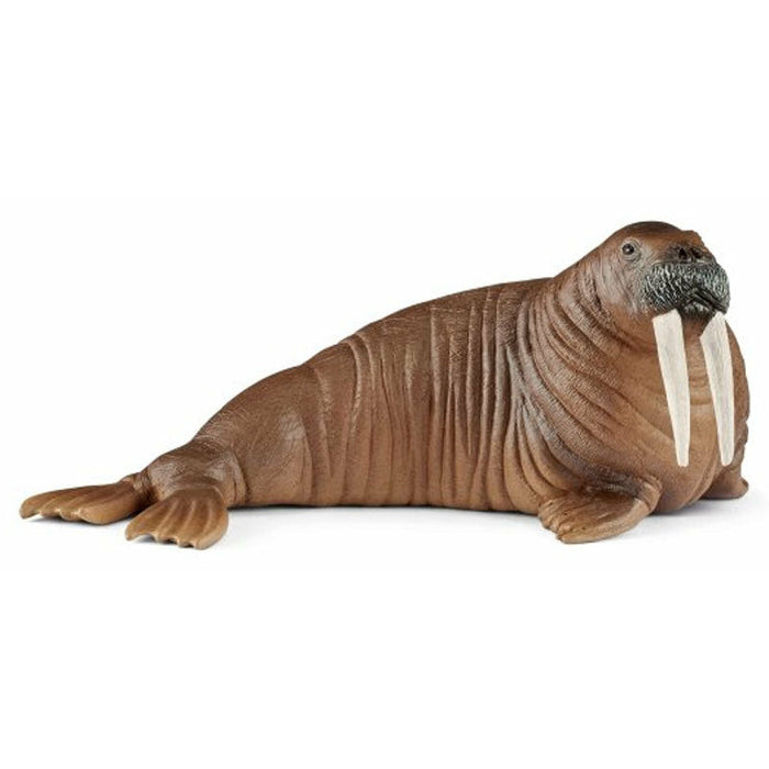 Schleich | Wild Life | Walrus