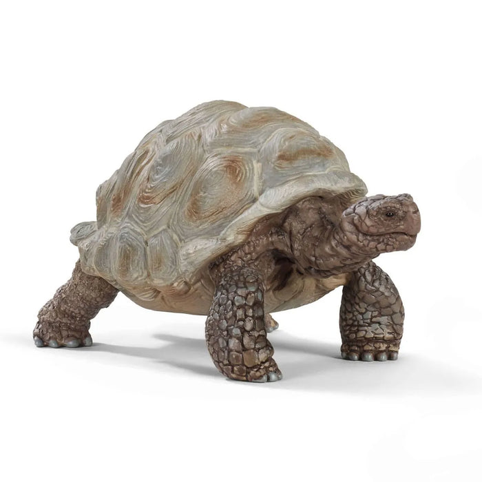 Schleich | Wild Life | Giant Tortoise