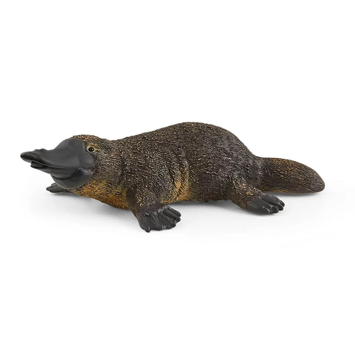 Schleich | Wild Life | Platypus