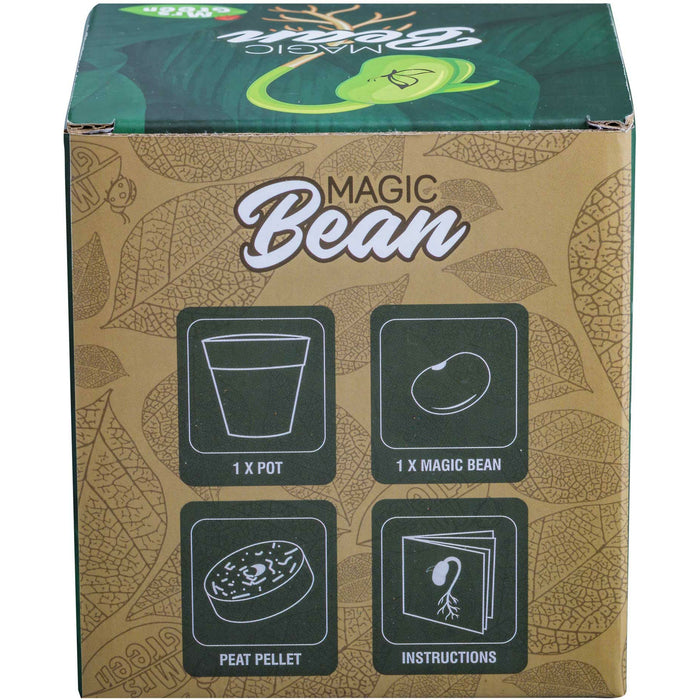 Magic Beans | Grow your Magic Bean