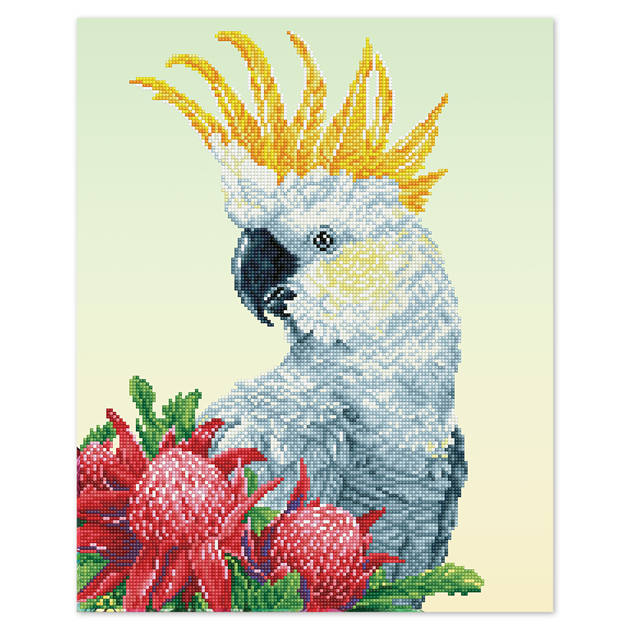 Diamond Dotz | White Cockatoo And Waratahs