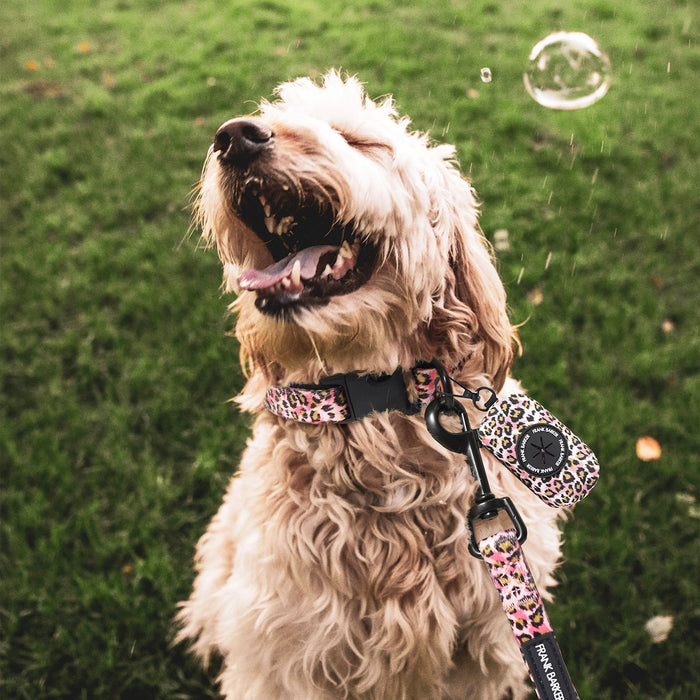Frank Barker | Collar | Pink Leopard