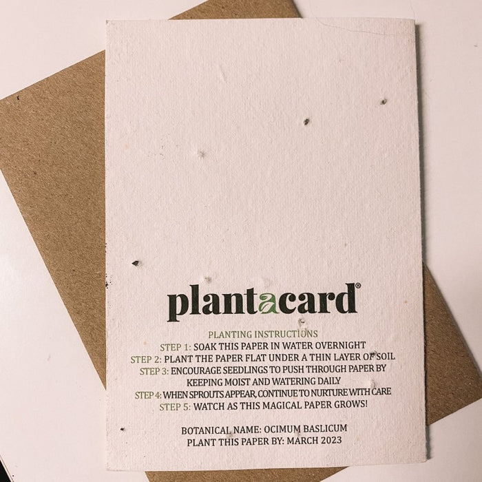 Plant a Card | Congratulations Lettuce Celebrate