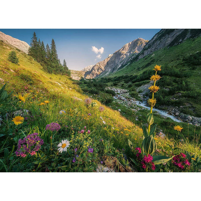 Ravensburger Puzzle | 1000pc | Magical Valley