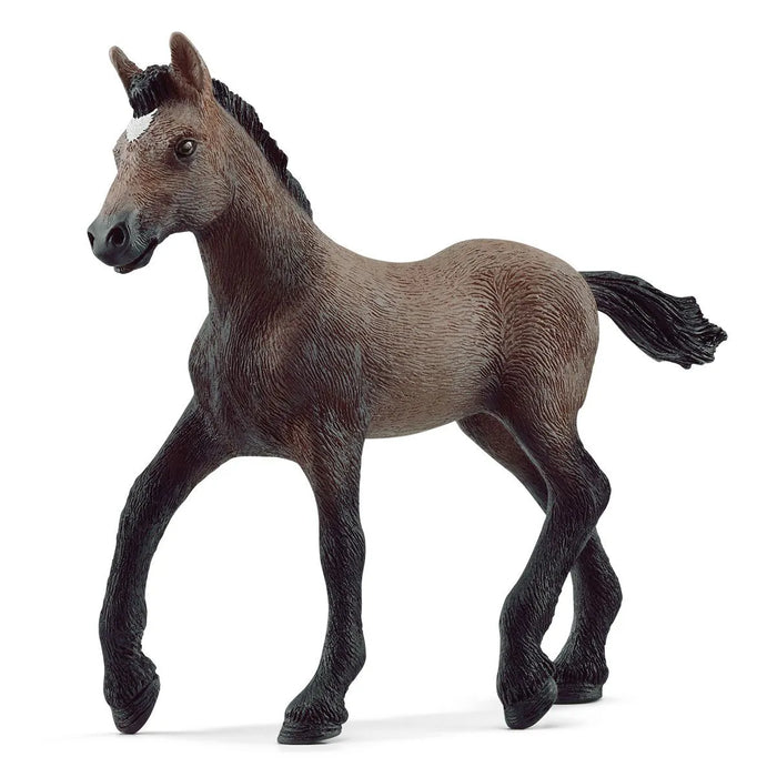 Schleich | Horse Club | Peruvian Paso Foal