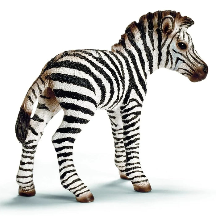 Schleich | Wild Life | Zebra Foal