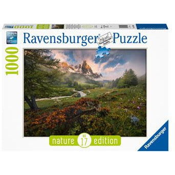 Ravensburger Puzzle 1000pc Claree Valley French Alps